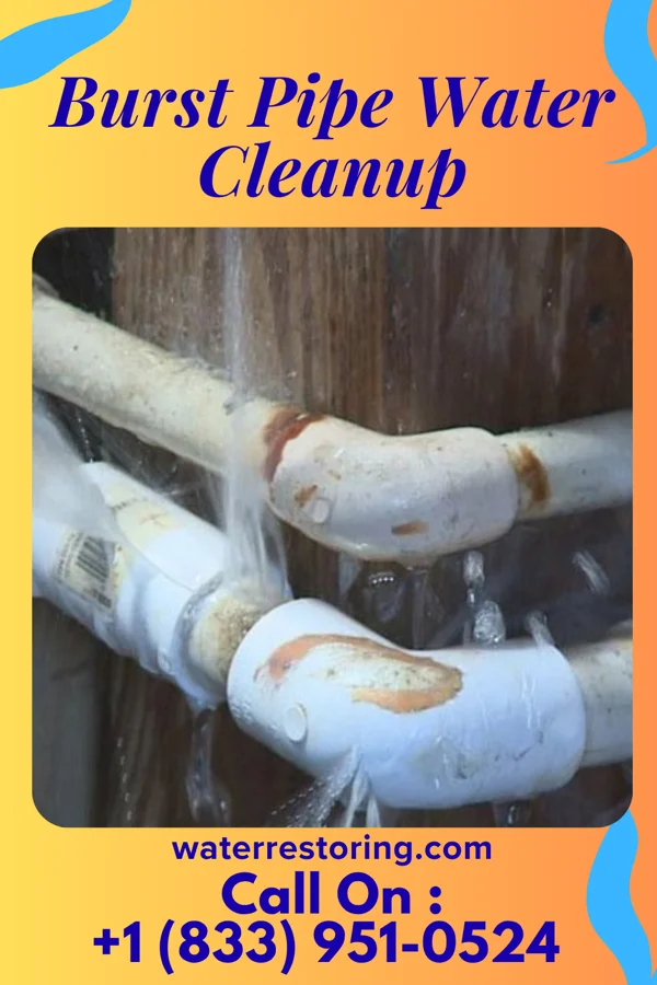 Burst Pipe Water Cleanup in Washington, LA