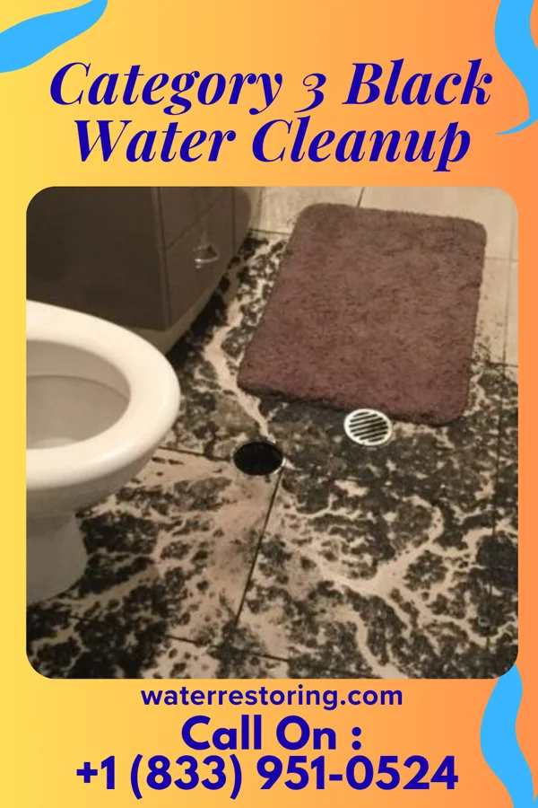 Category 3 Black Water Cleanup in Washington, LA