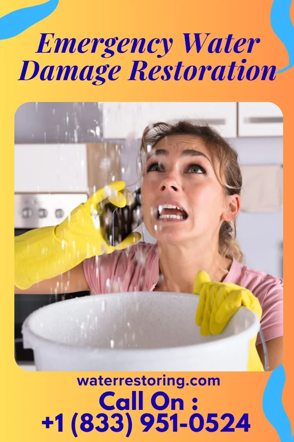 Emergency Water Damage Restoration in Washington, LA