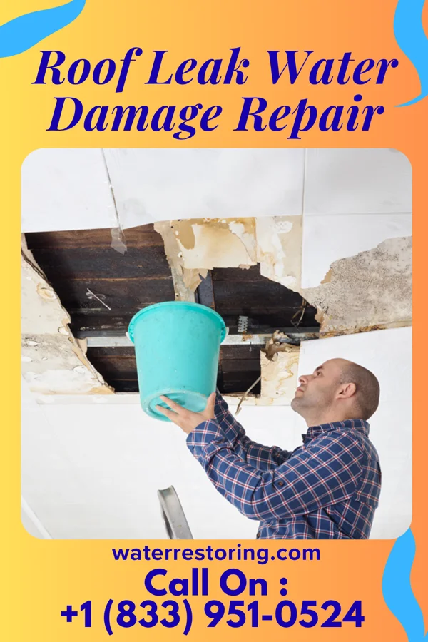 Roof Leak Water Damage Repair in Washington, LA